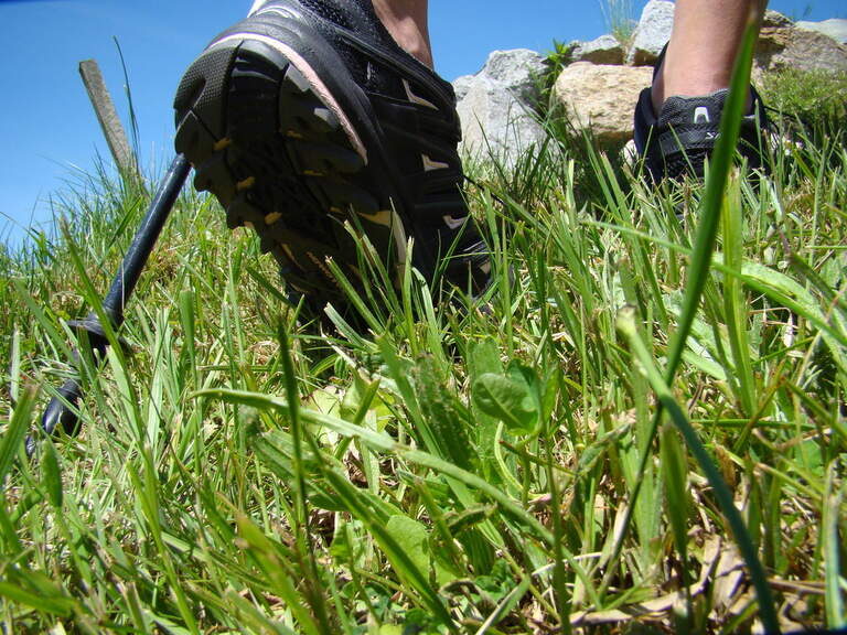 Ein Person mit Nordic Walking Schuhen geht spazieren auf einer grünen Wiese im Bayerischen Wald.